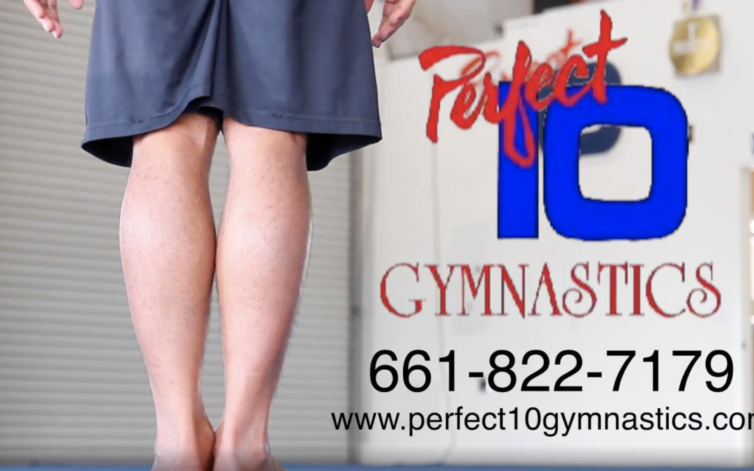 Perfect 10 Gymnastics