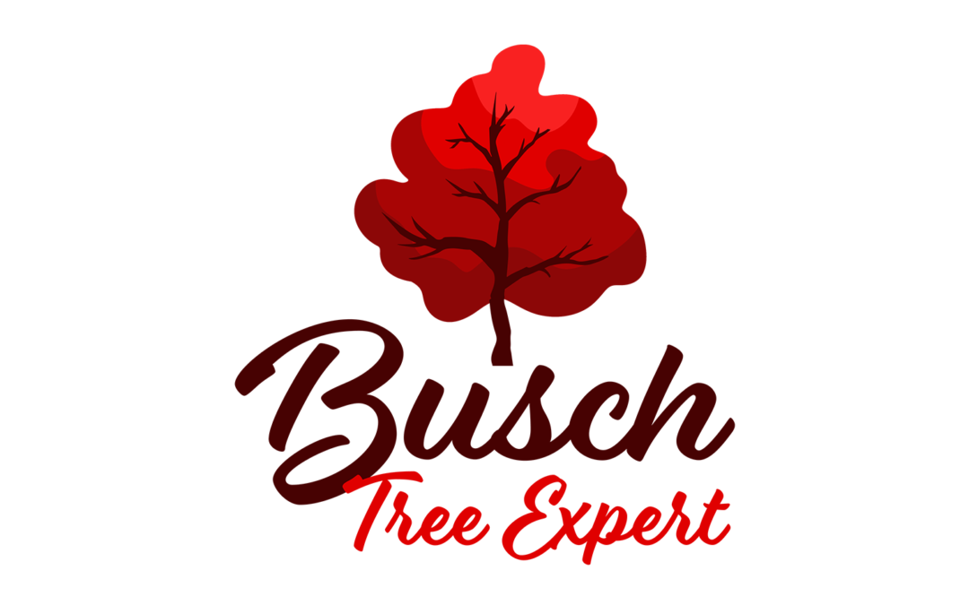 Busch Tree Expert