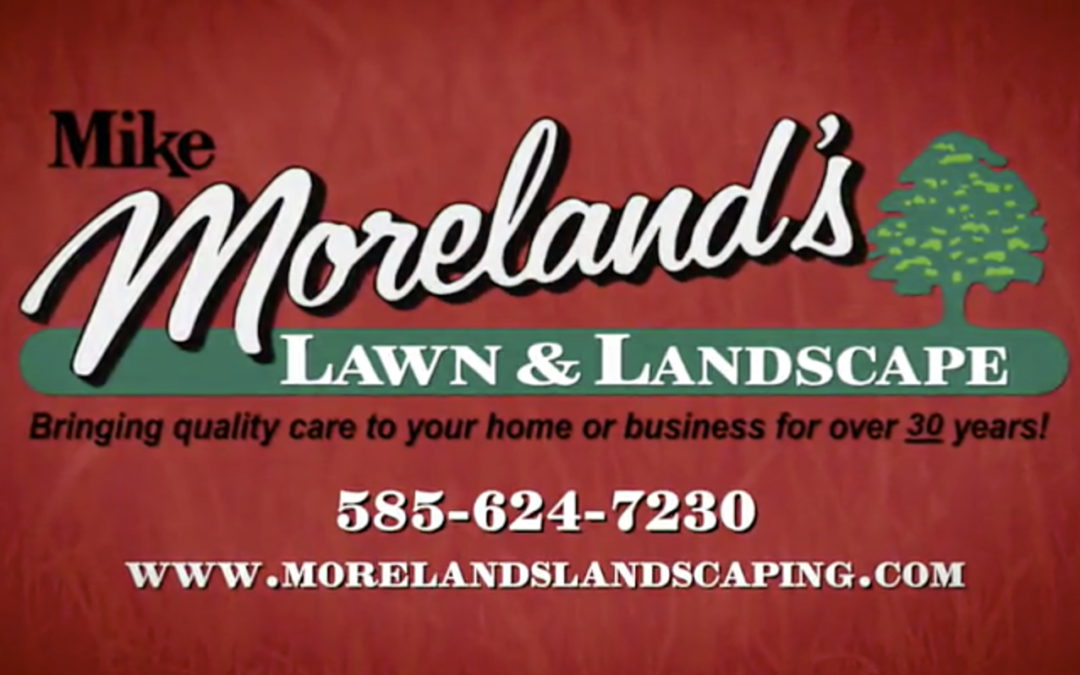 Mike Morelands Lawn & Landscape