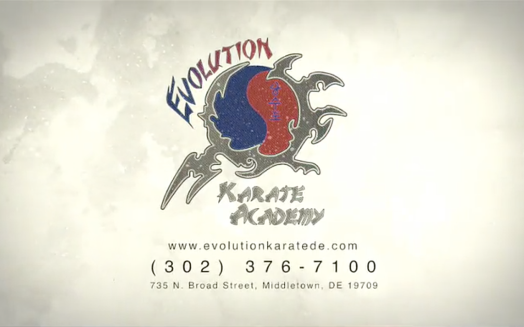 Evolution Karate Academy