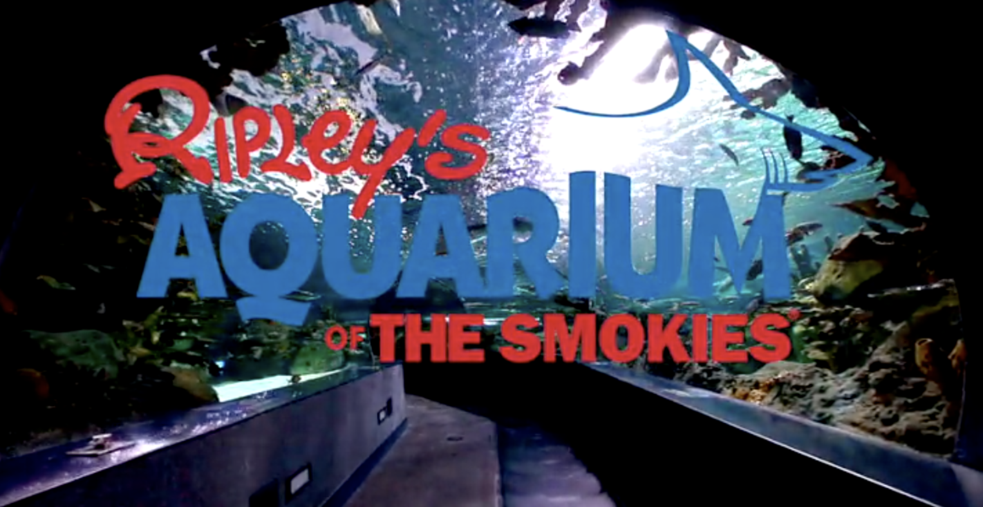 Ripleys Aquarium of The Smokies