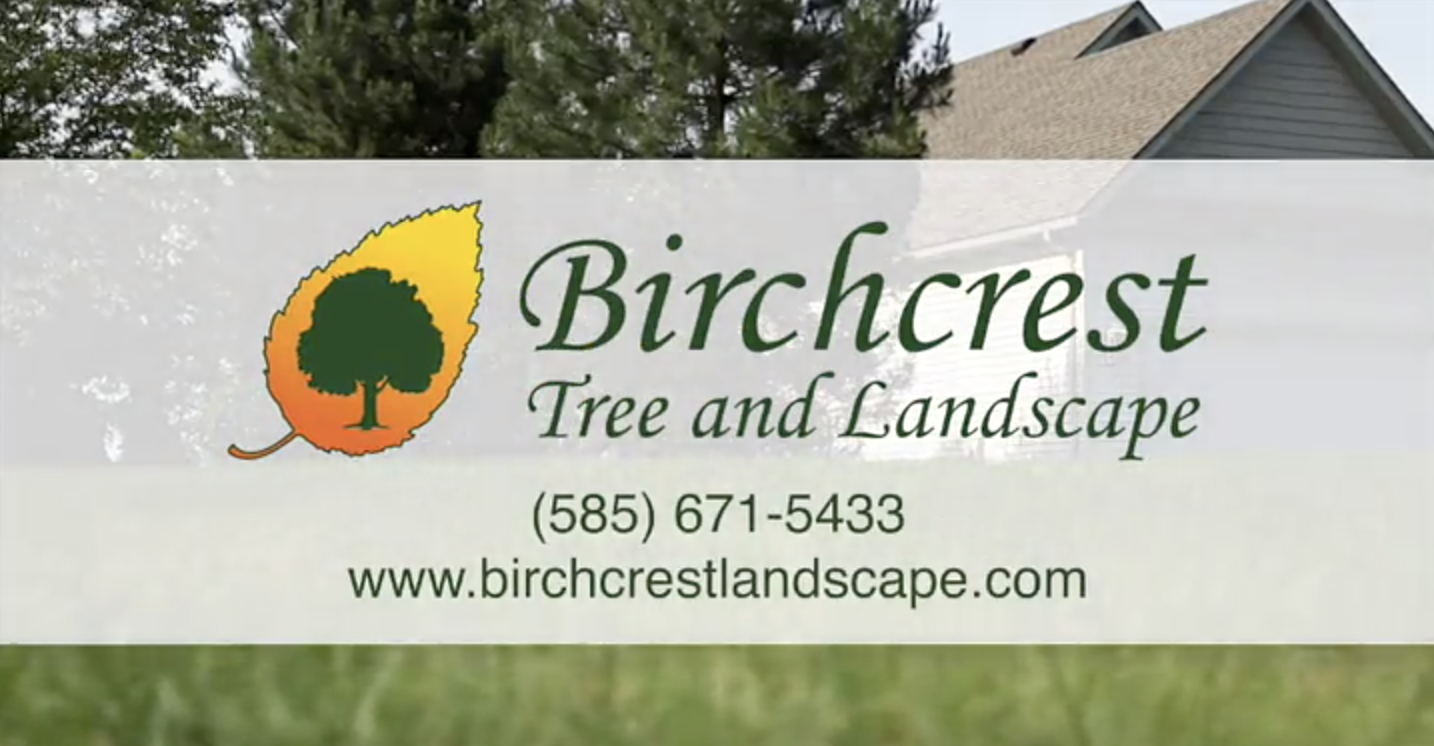 Birchcrest Tree & Landscape, Inc.