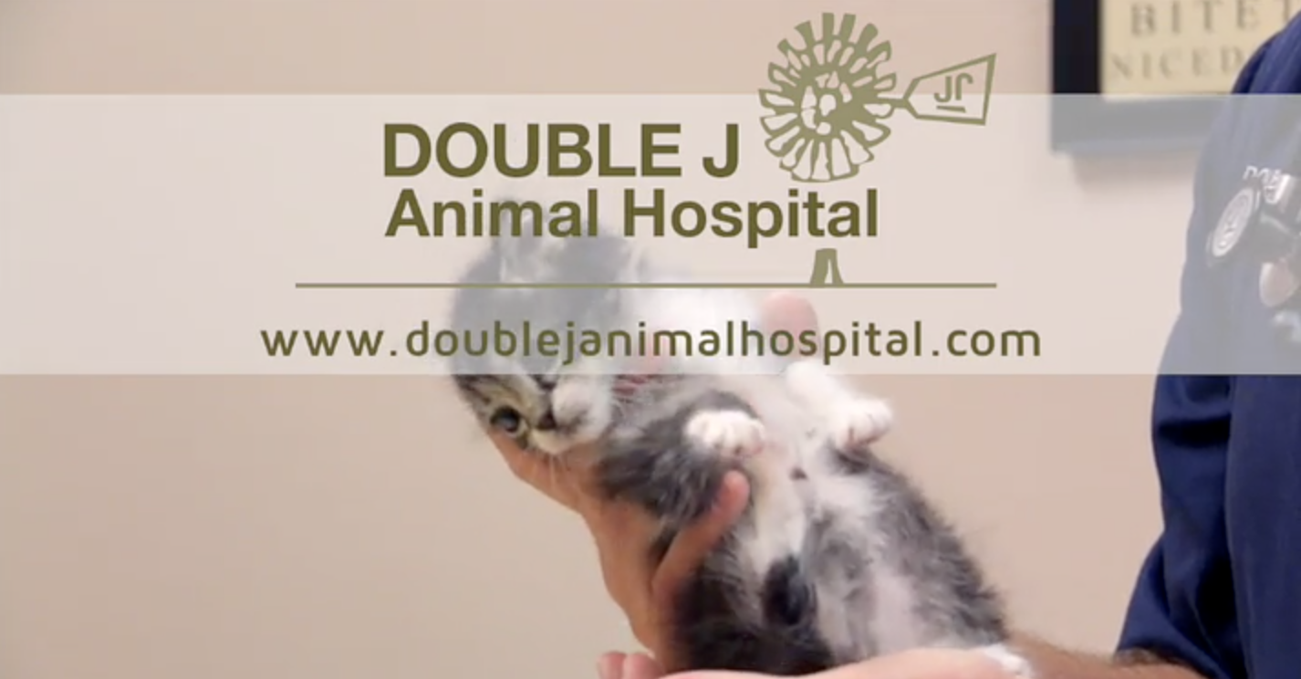 Double J Animal Hospital