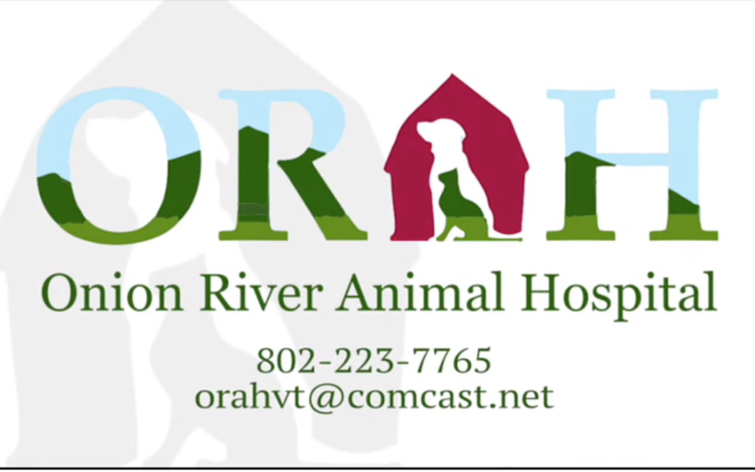 Onion River Animal Hospital