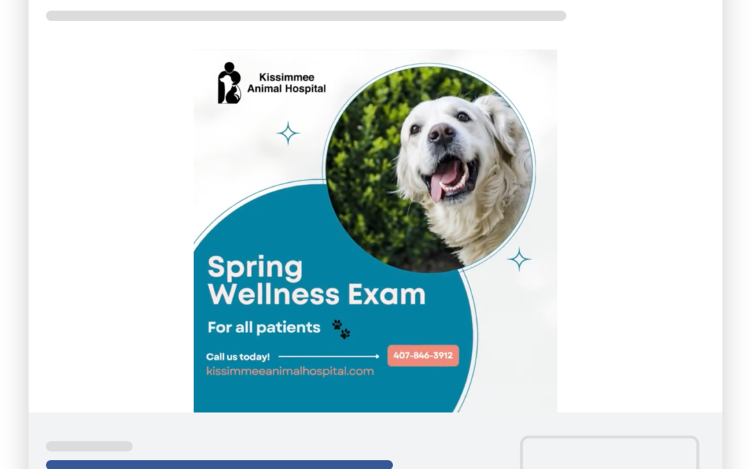 Kissimmee Animal Hospital