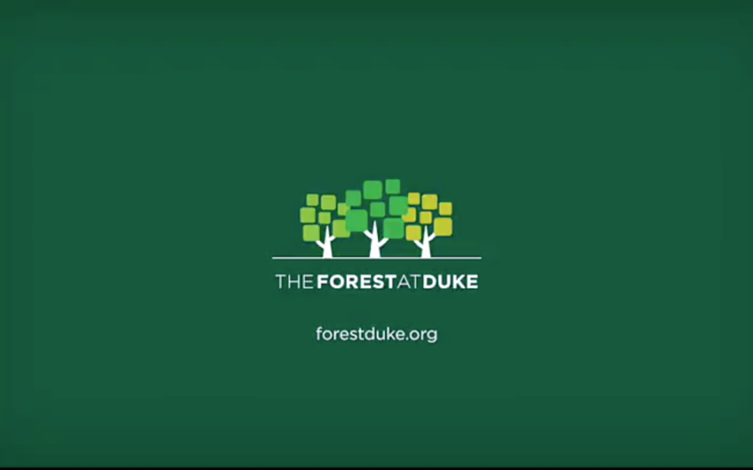 The Forest at Duke