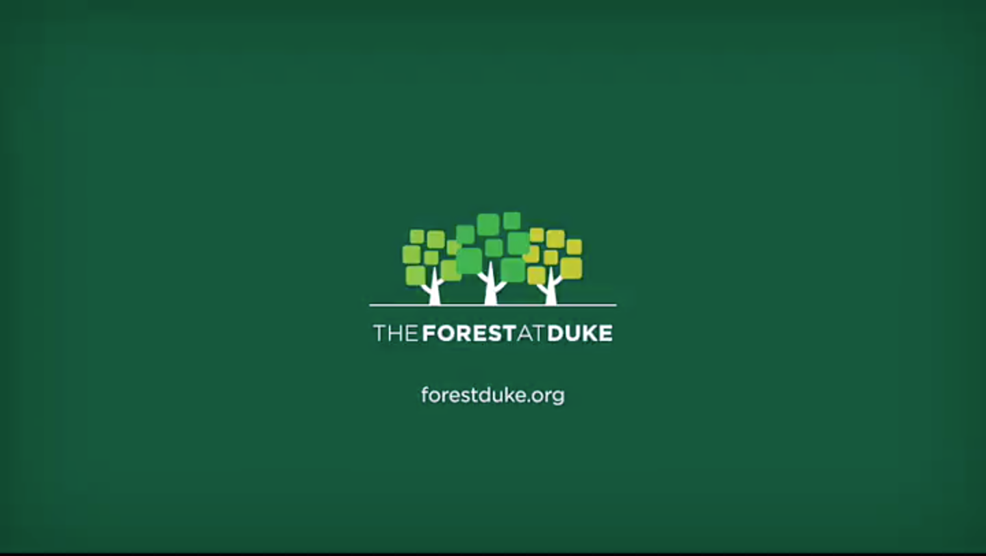 The Forest at Duke