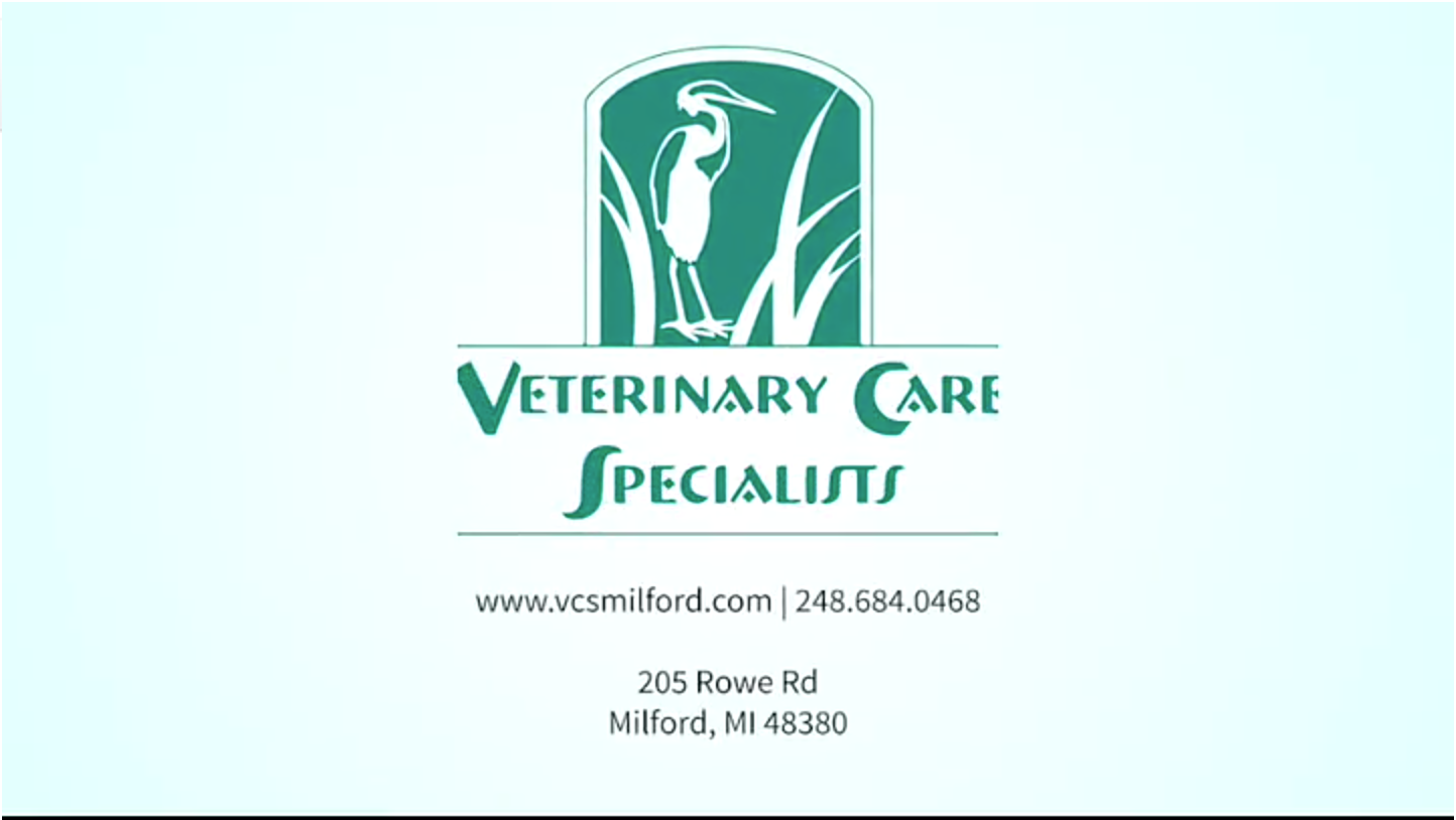Veterinary Care Specialists