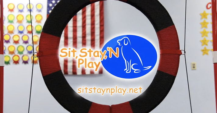 Sit Stay ‘N Play