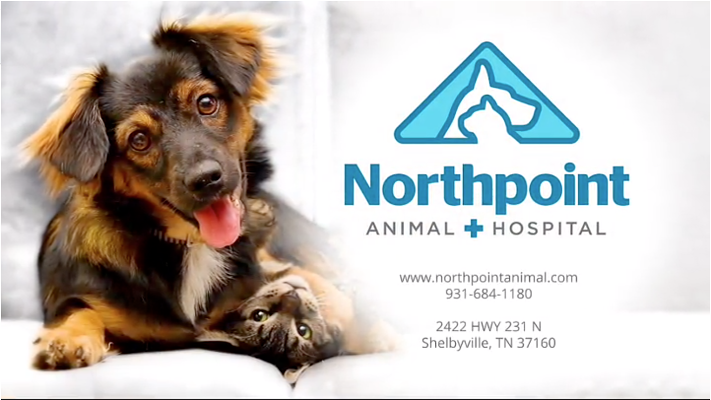Northpoint Animal Hospital