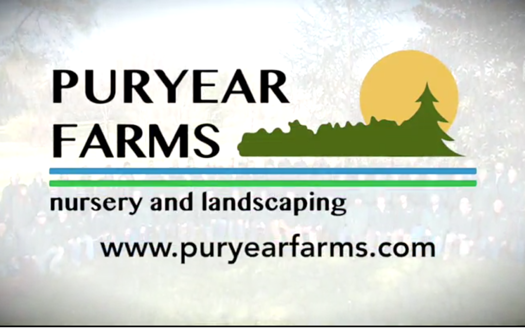 Puryear Farms