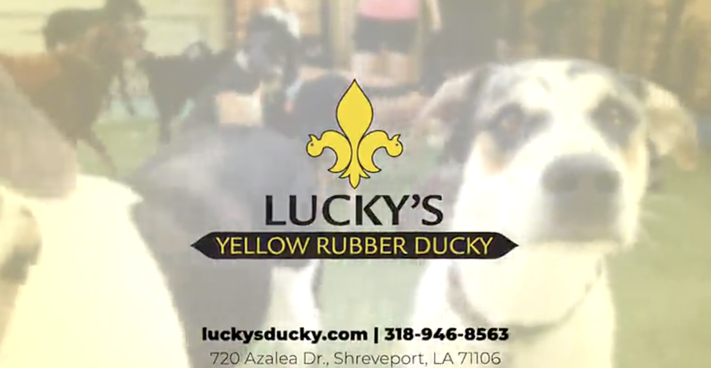 Lucky’s Yellow Rubber Ducky