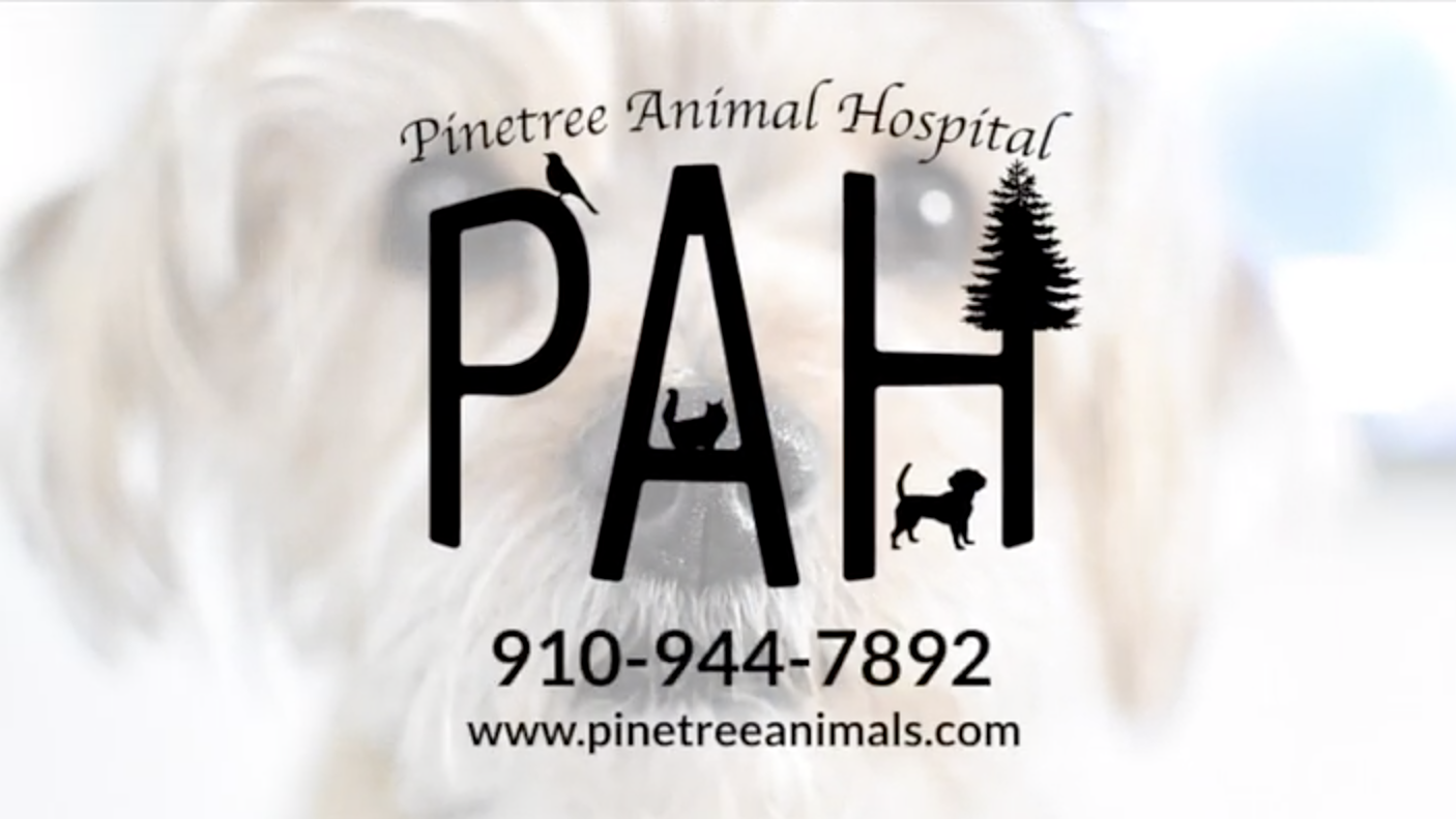 Pinetree Animal Hospital