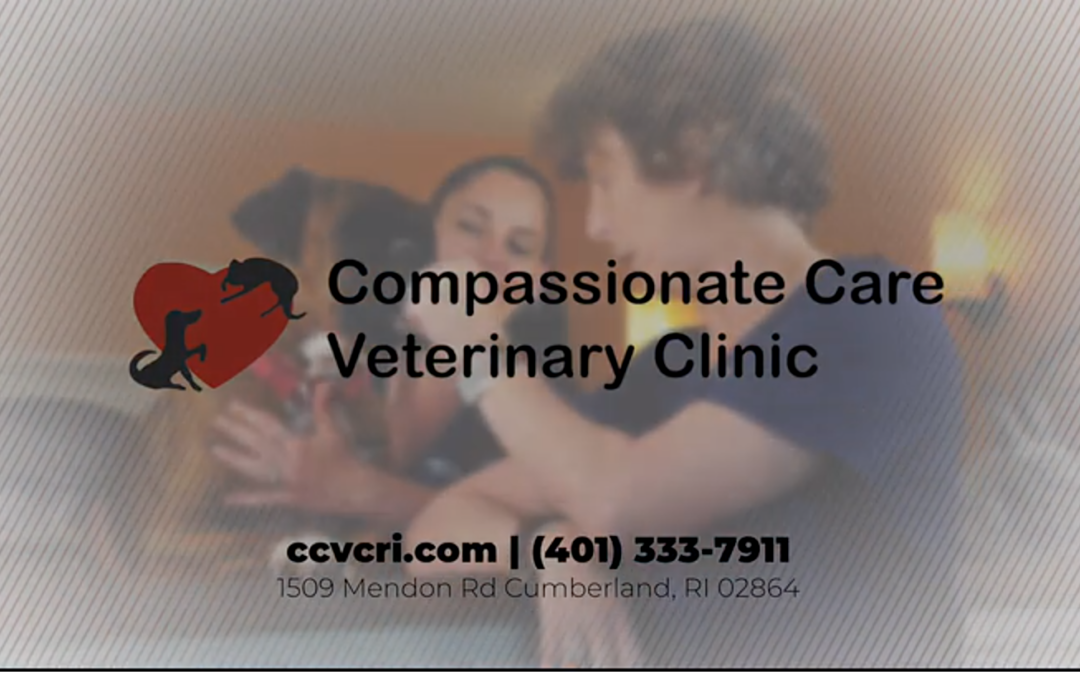 Compassionate Care Veterinary Clinic
