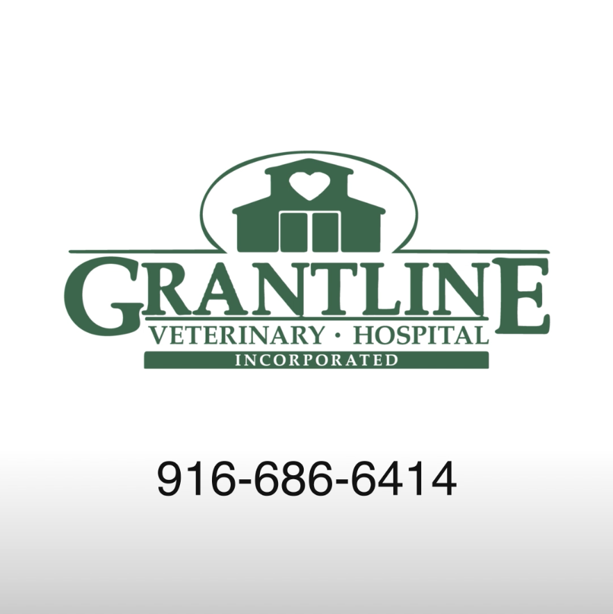 Grantline Vet Hospital