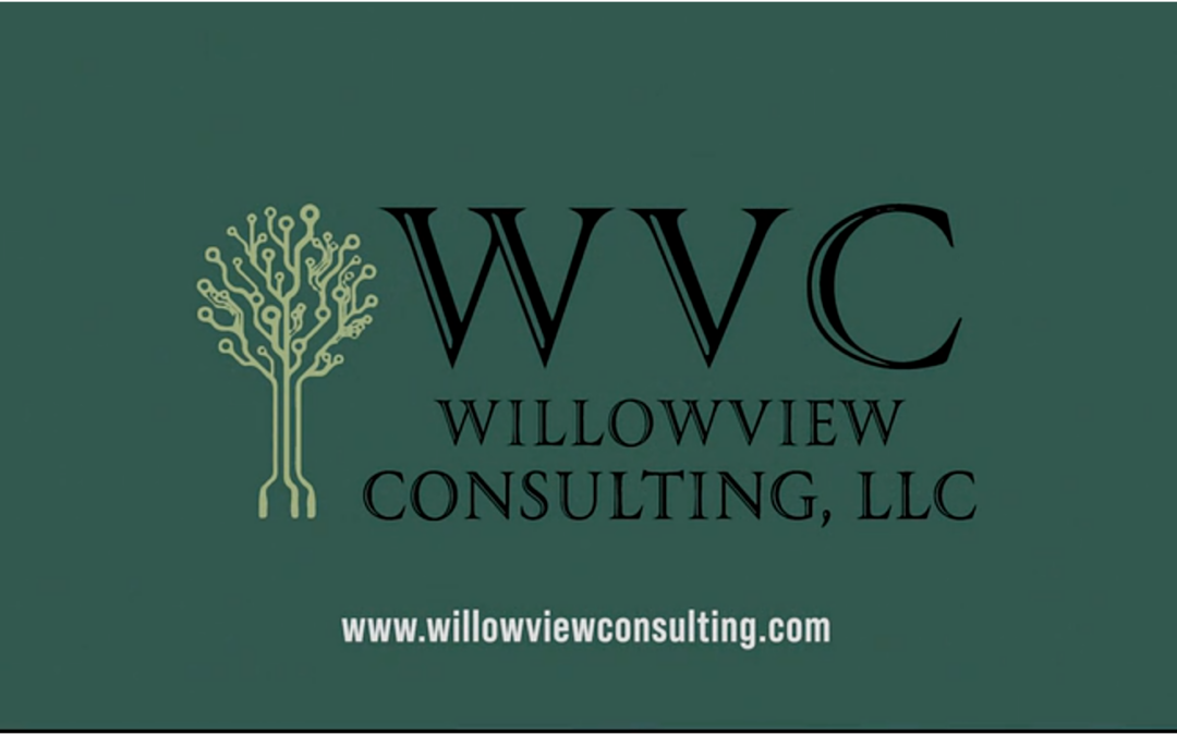 Willowview Consulting LLC
