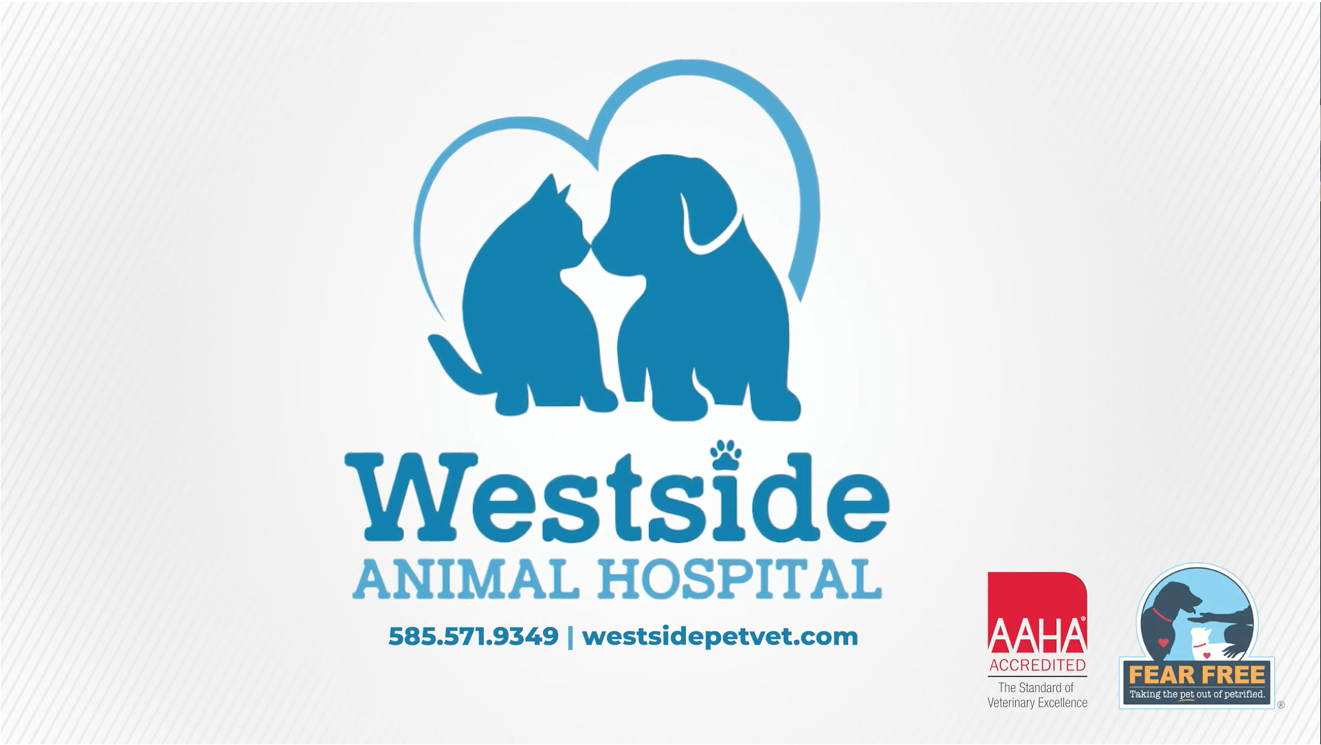 Westside Animal Hospital
