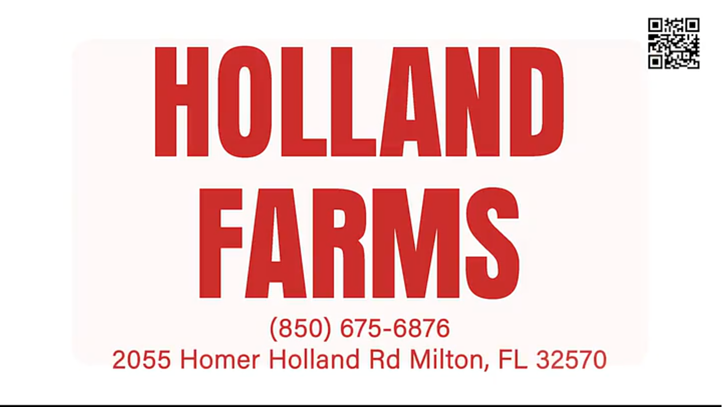Holland Farms